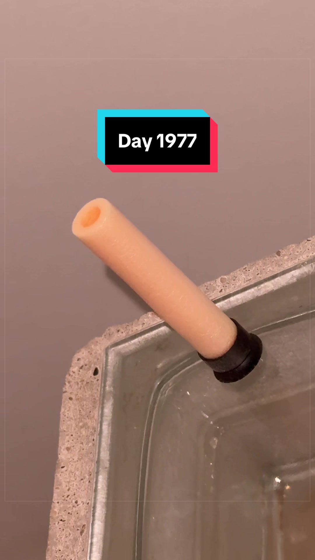 @The Immortal Nerf Dart