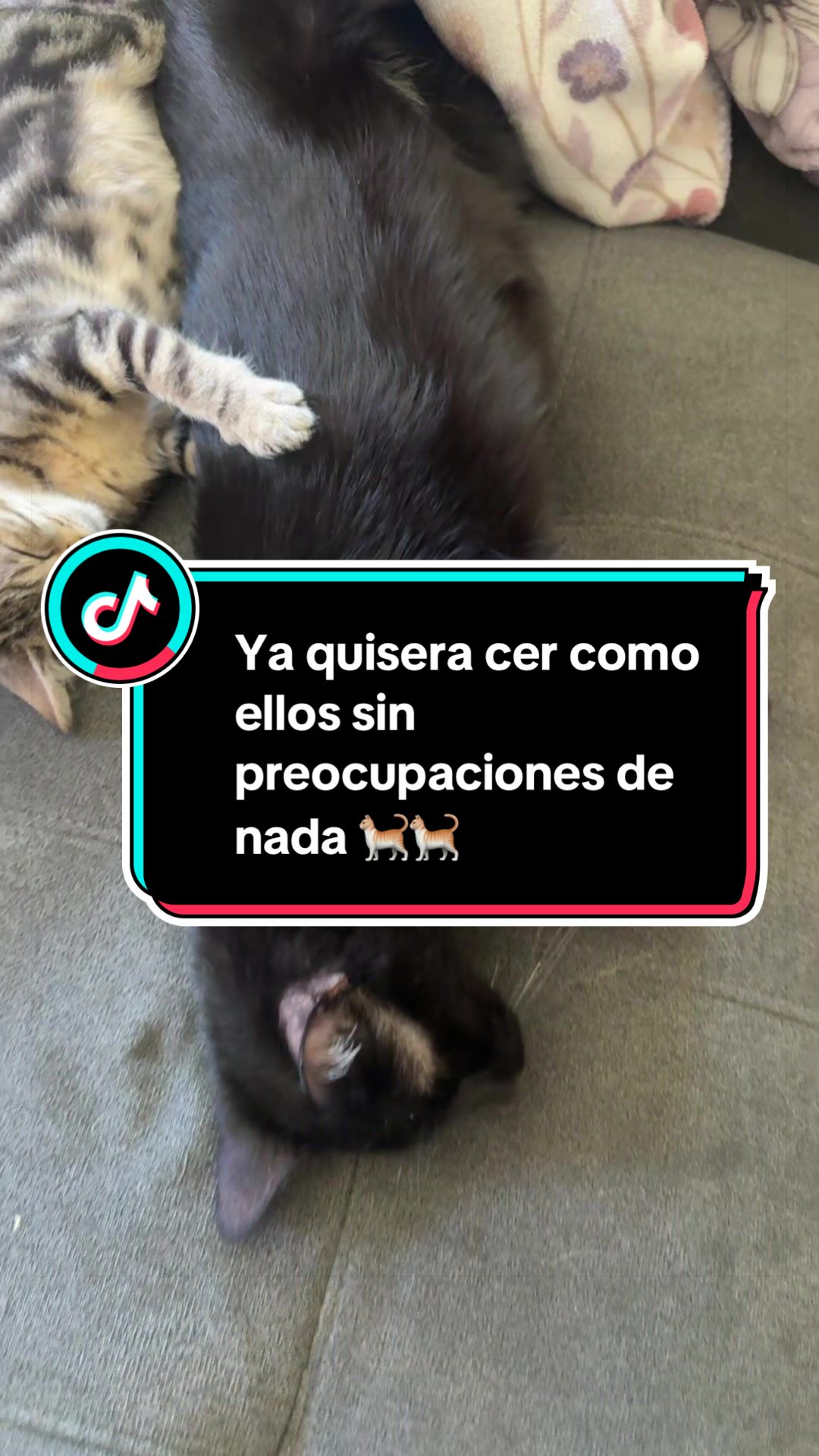 @nataly.831