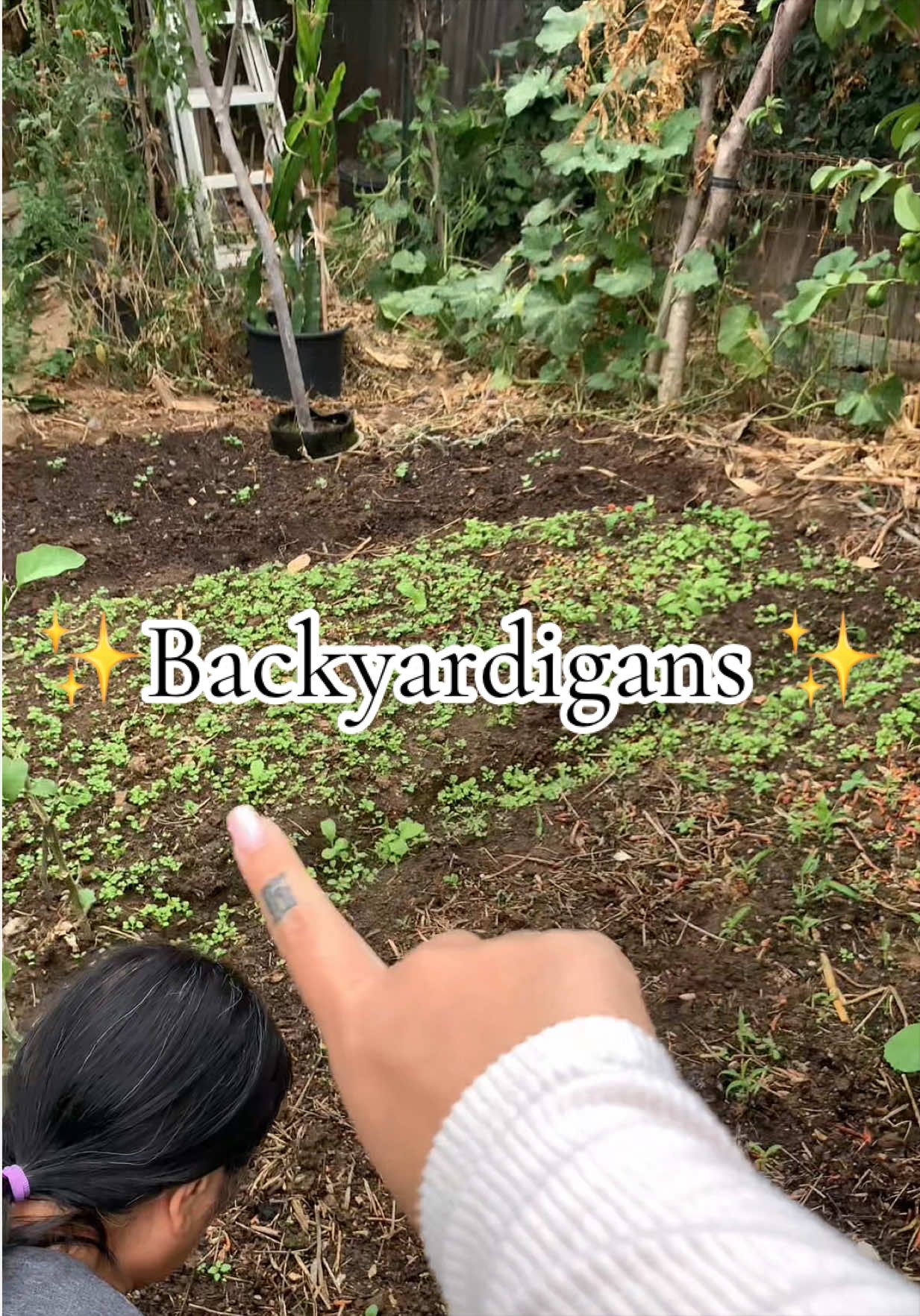 @TJ