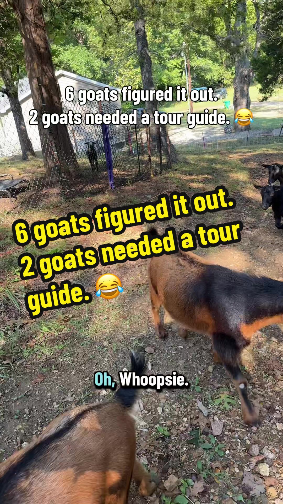 @KidsOnKerth 🐐 Hannah 💀🎃👻