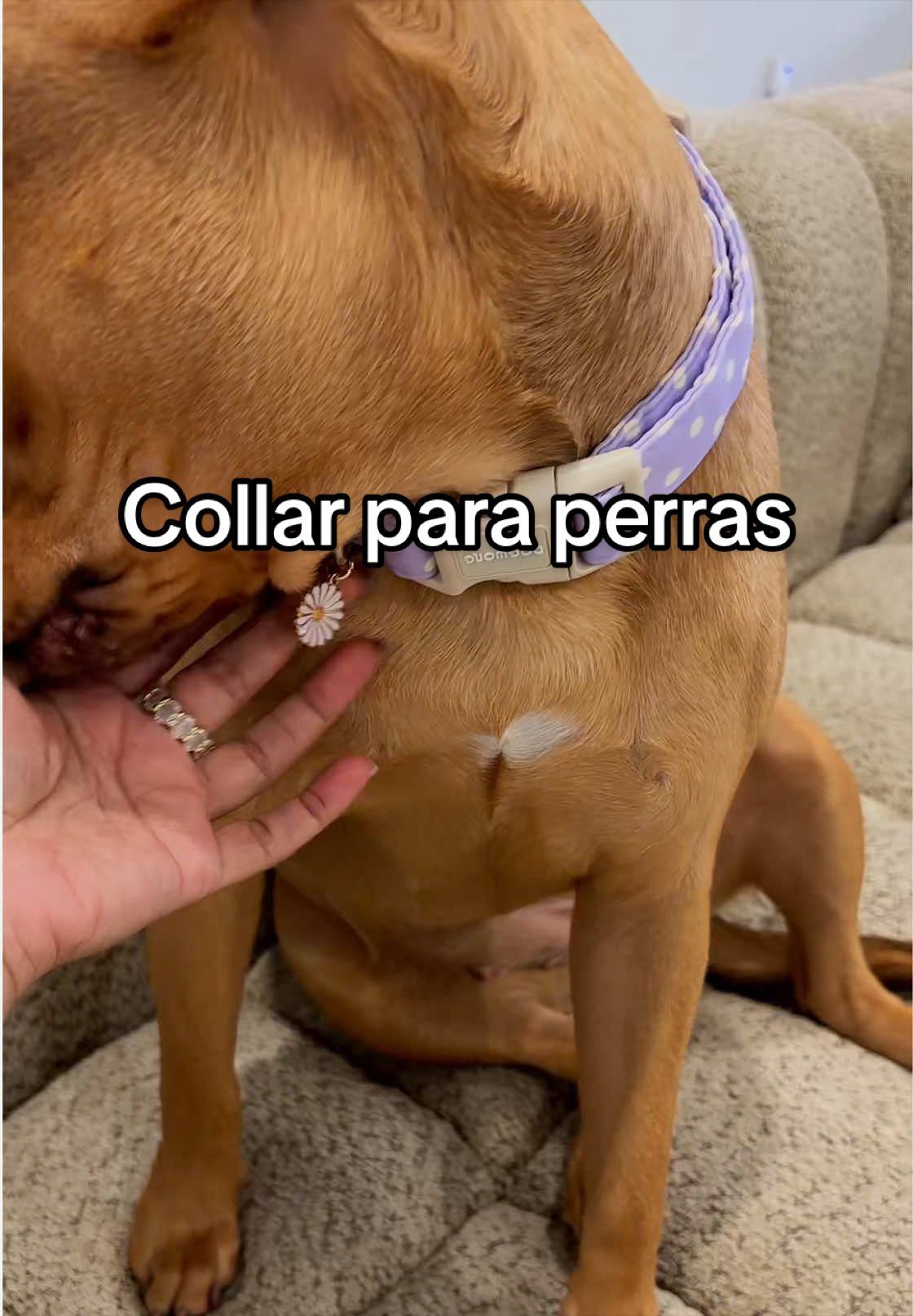 @Yaumara Martinez