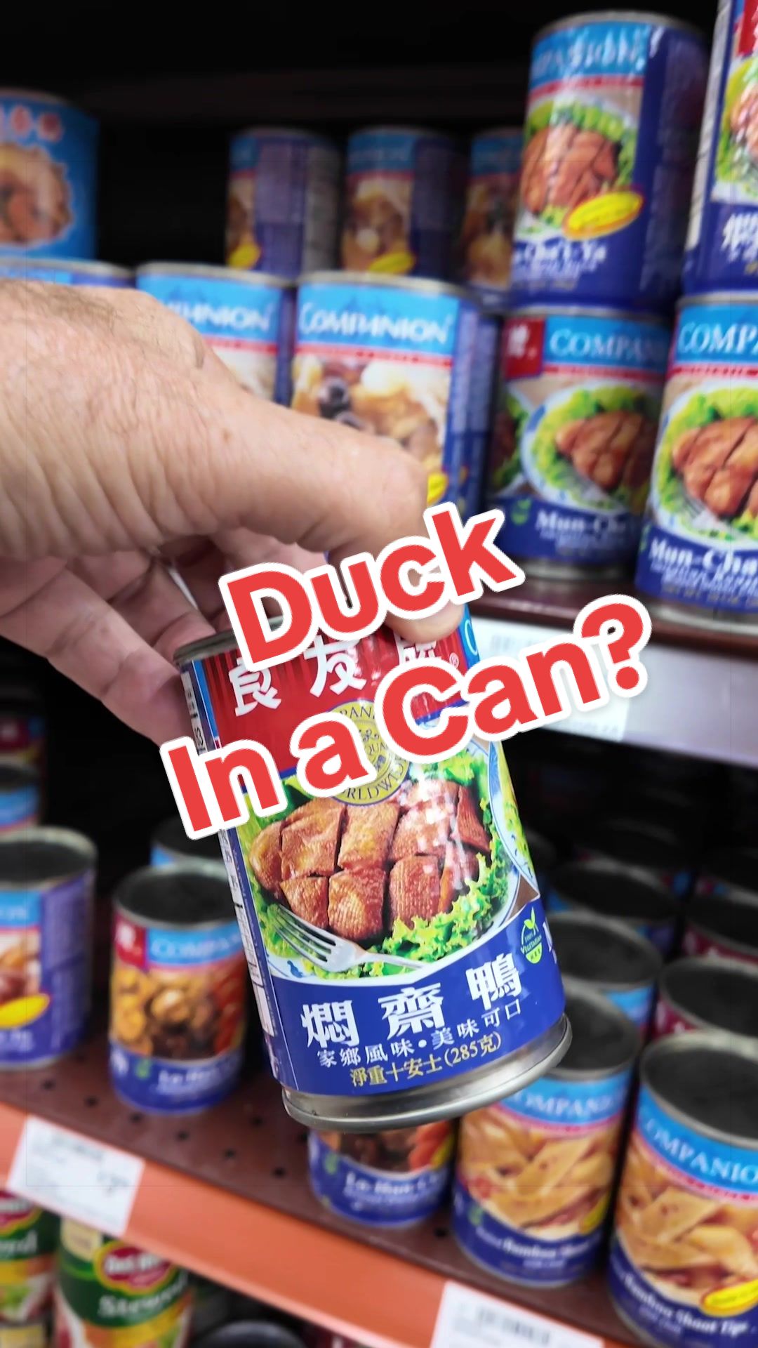 @Vegan Hacks Pod