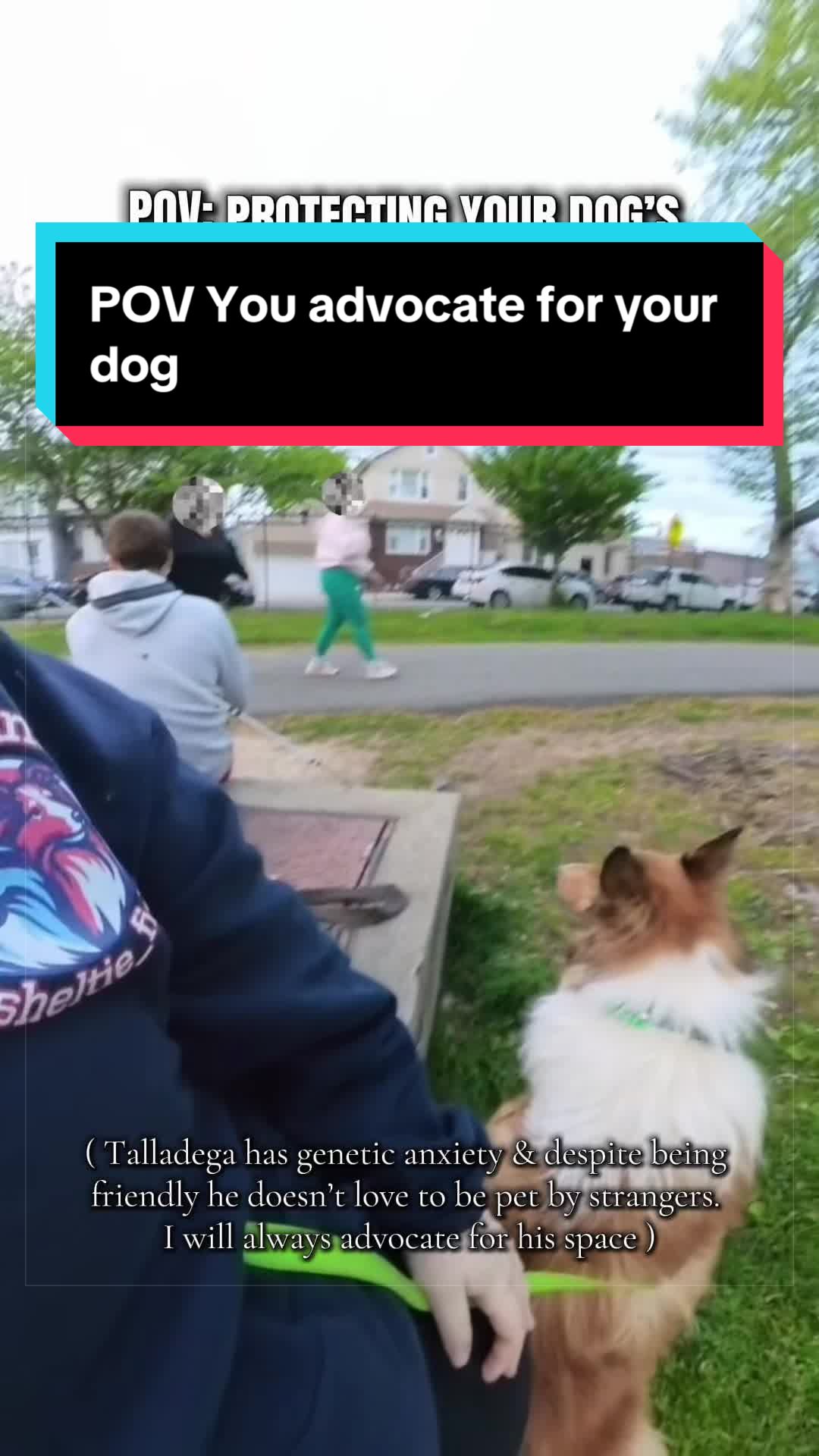 @Dakota & Pups