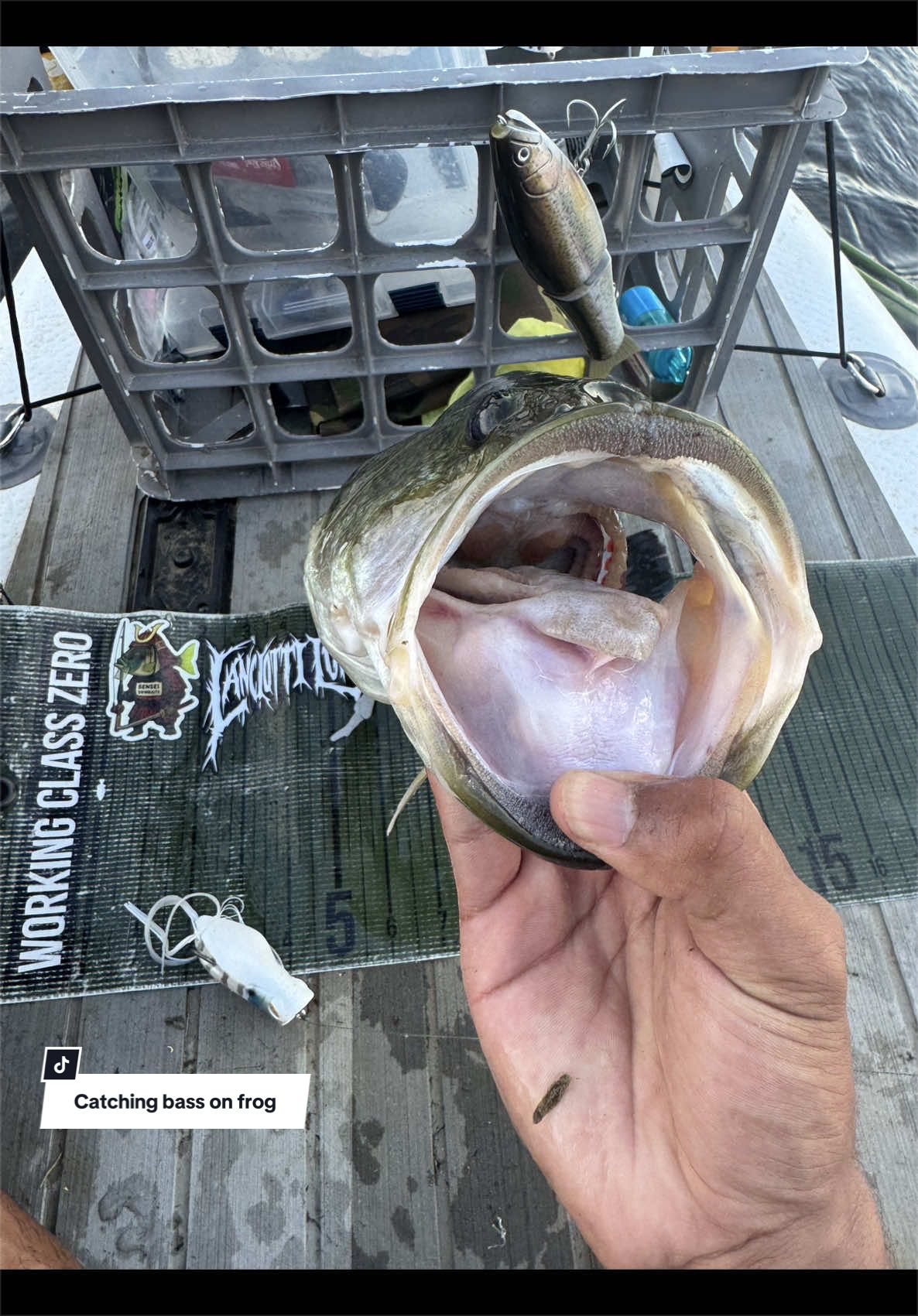 @Lunkerhunter🪵