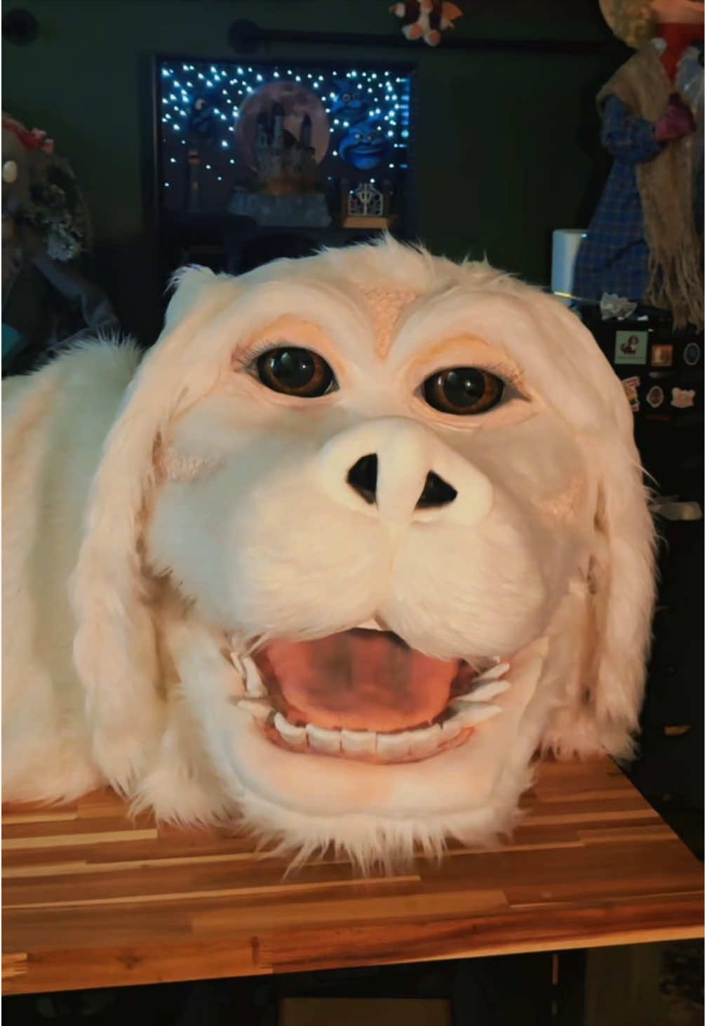 @Kristin’s Wicked Workshop