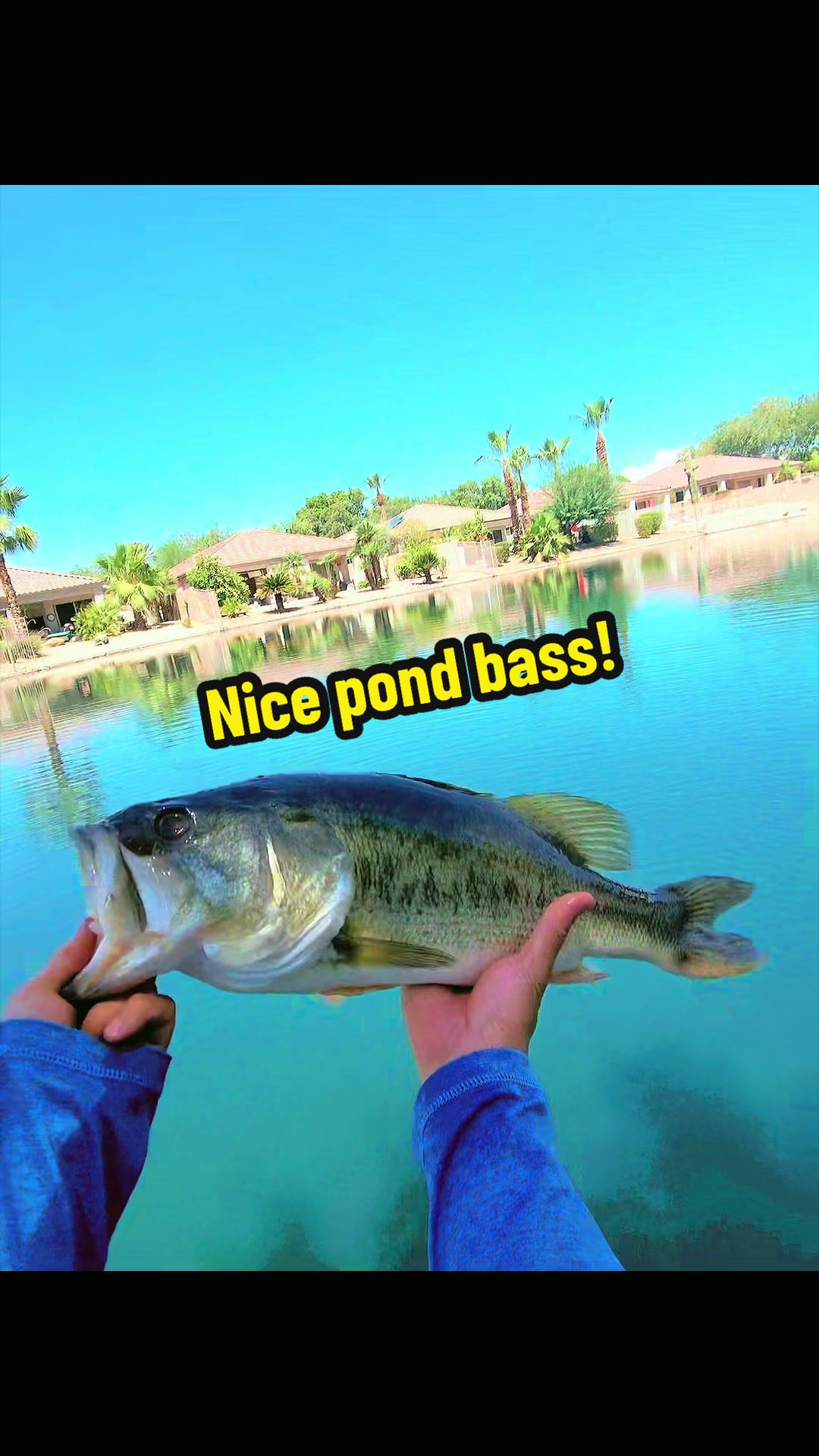 @Luu Nguyen Fishing