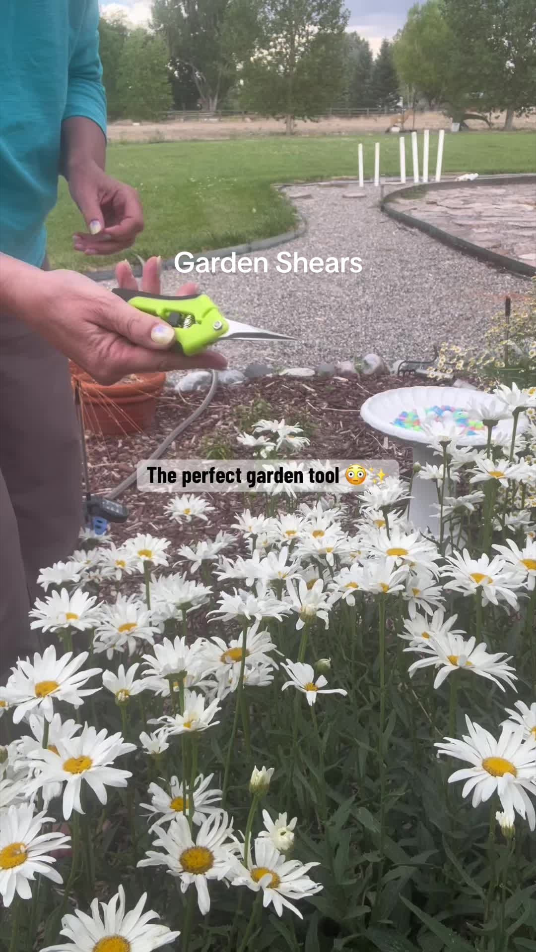 @wildwyogarden