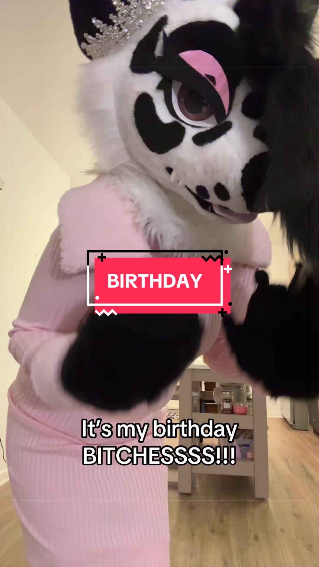 @Tahki the Dino Dog