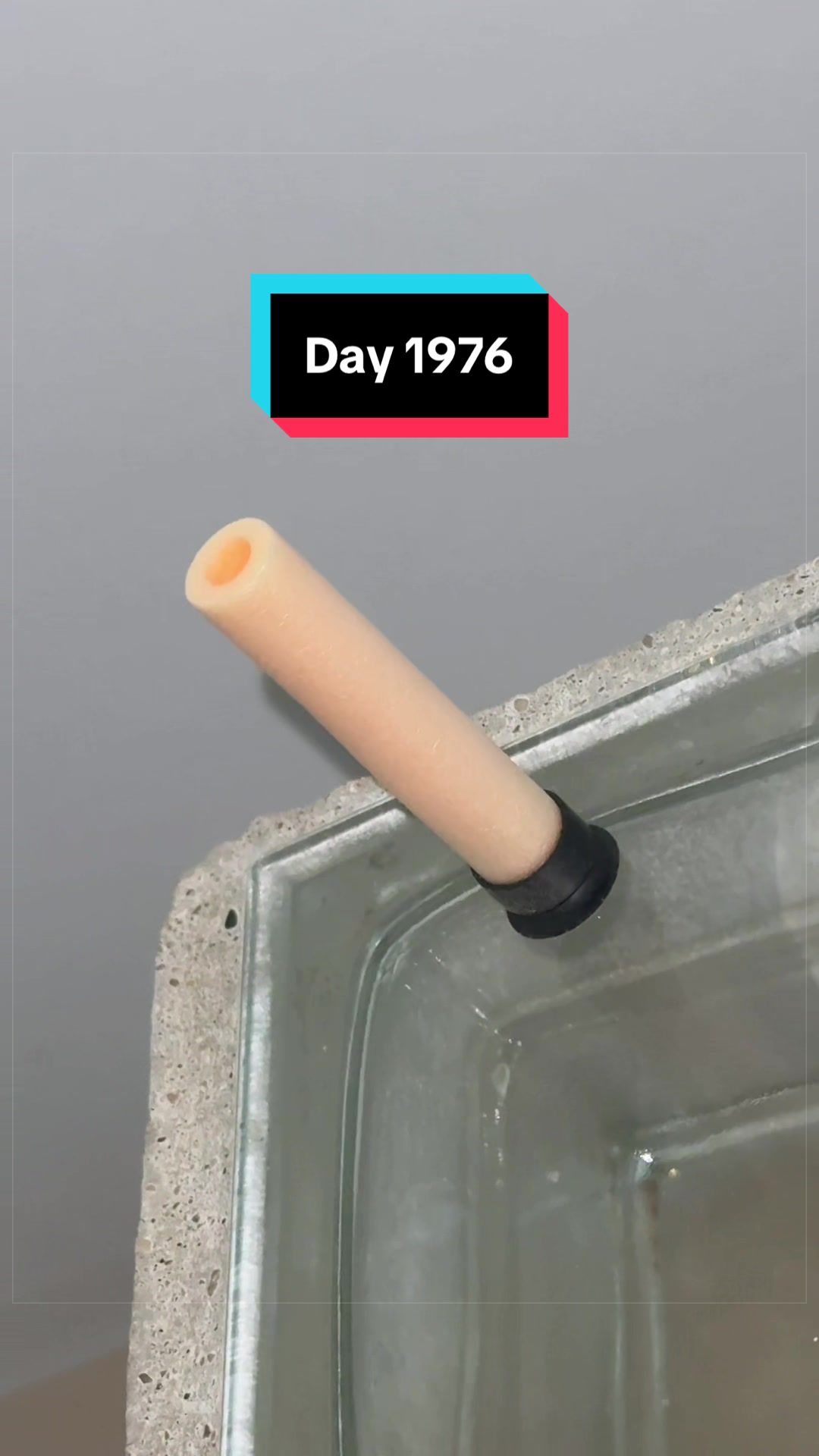 @The Immortal Nerf Dart