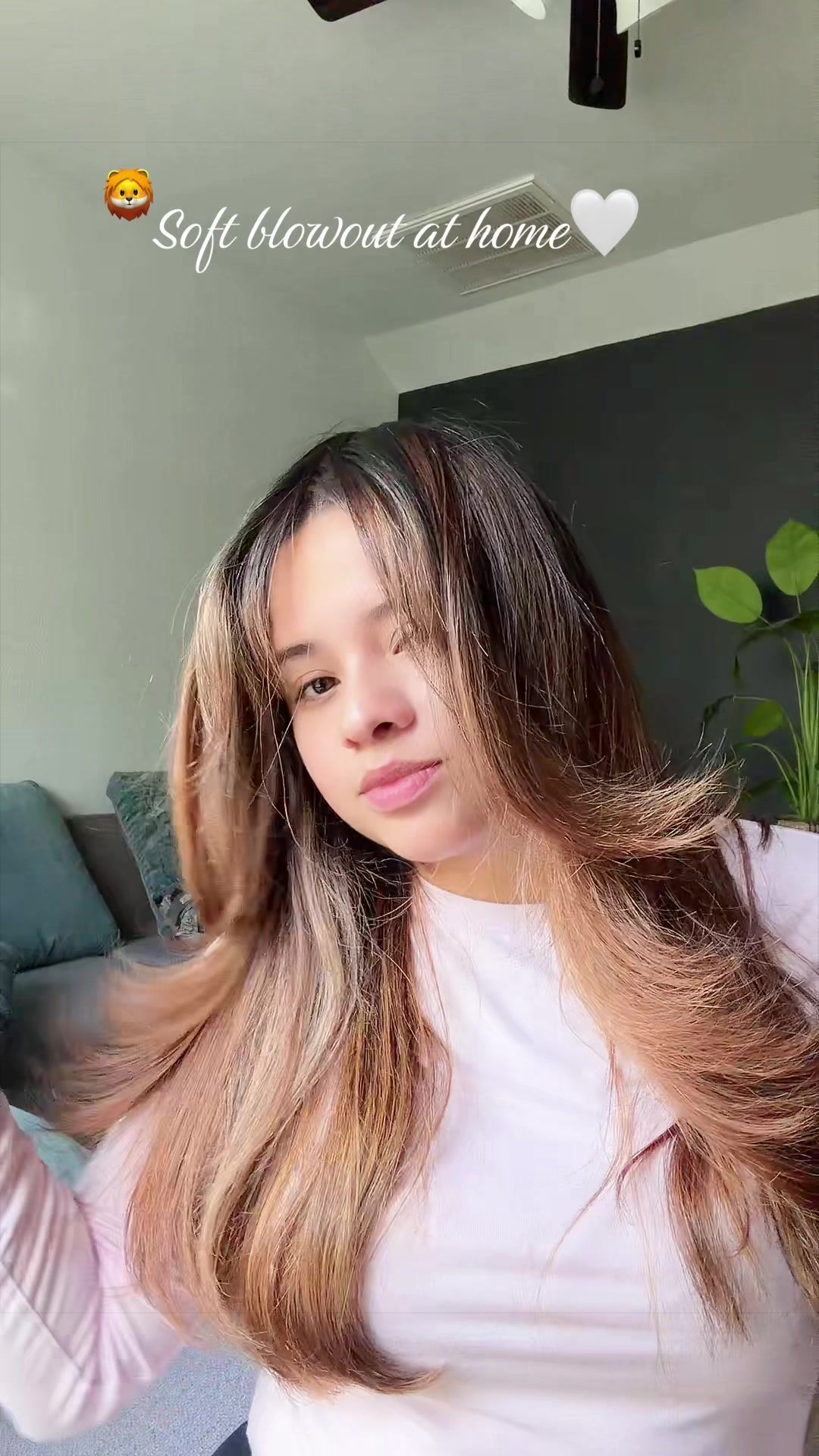 @Carolina hairstylist | DFW