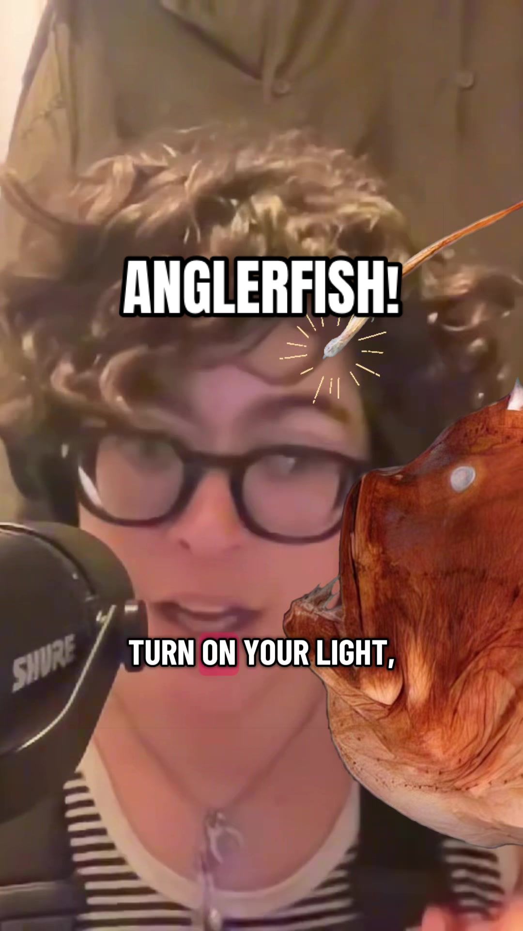 @terrestrialspodcast