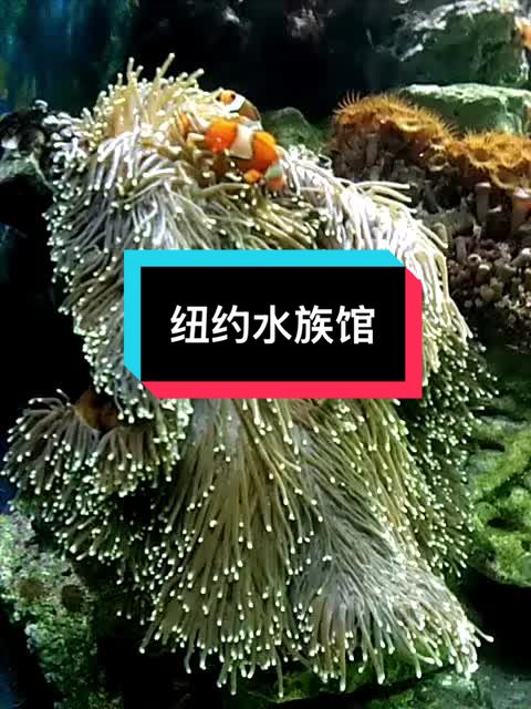 @心飞扬xie💕