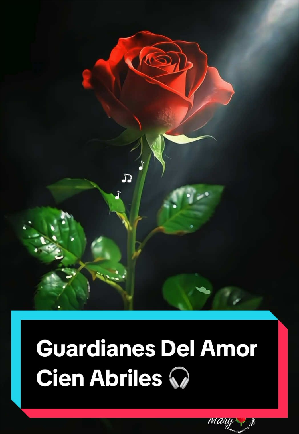 @𝓜𝓪𝓻𝔂🌹