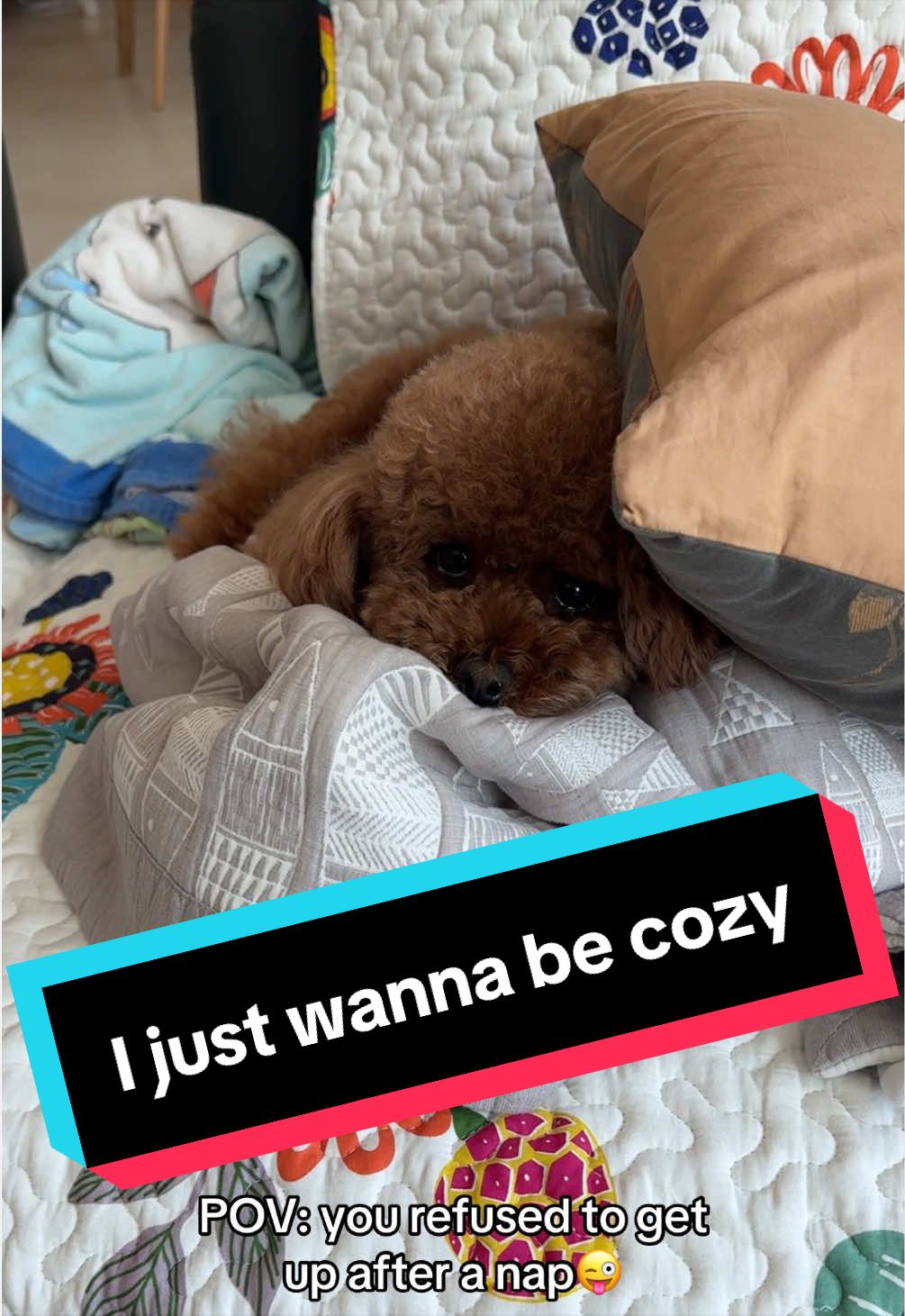 @Gizmo🧸