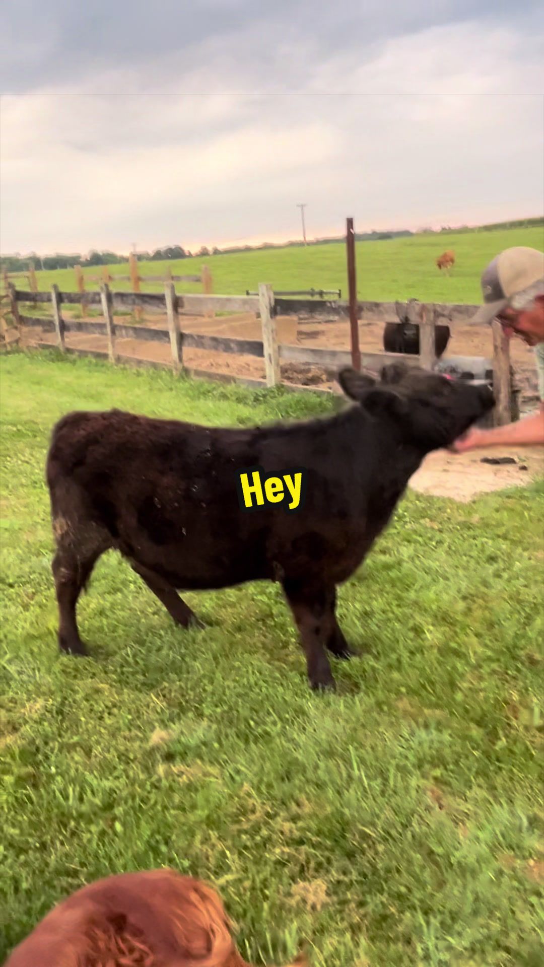 @MISSY & Her Farmer