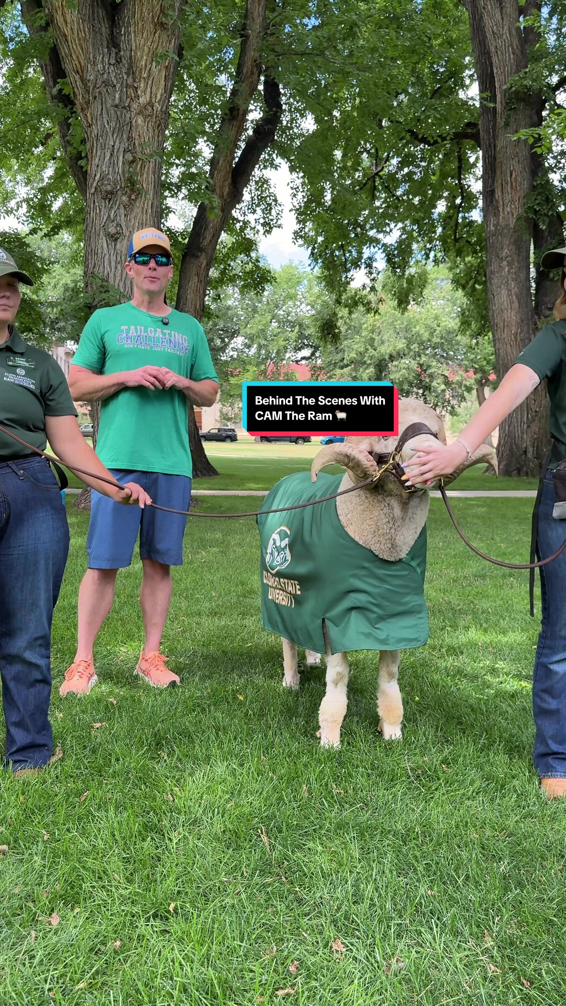 @TailgatingChallenge