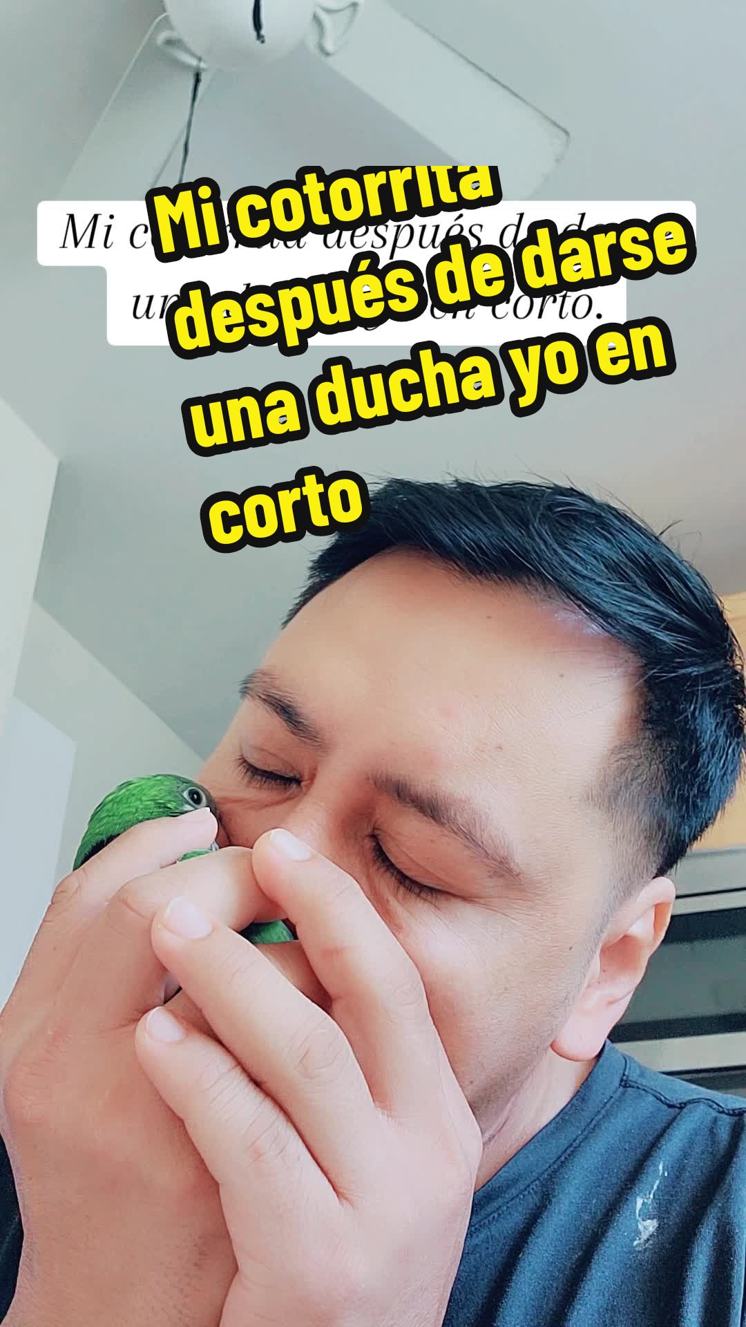@Nico
