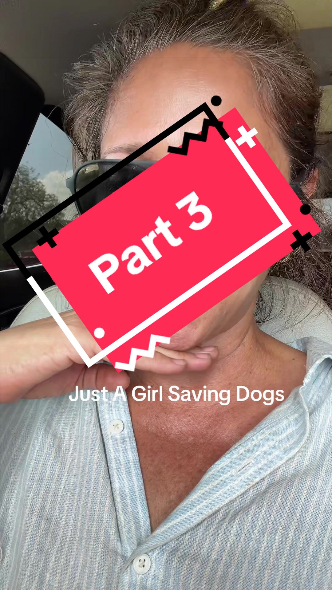 @Just A Girl Saving Dogs