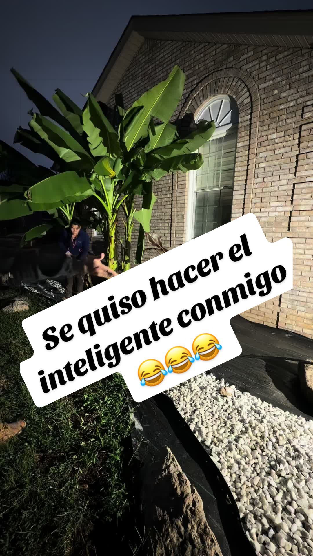 @Elianne Martinez