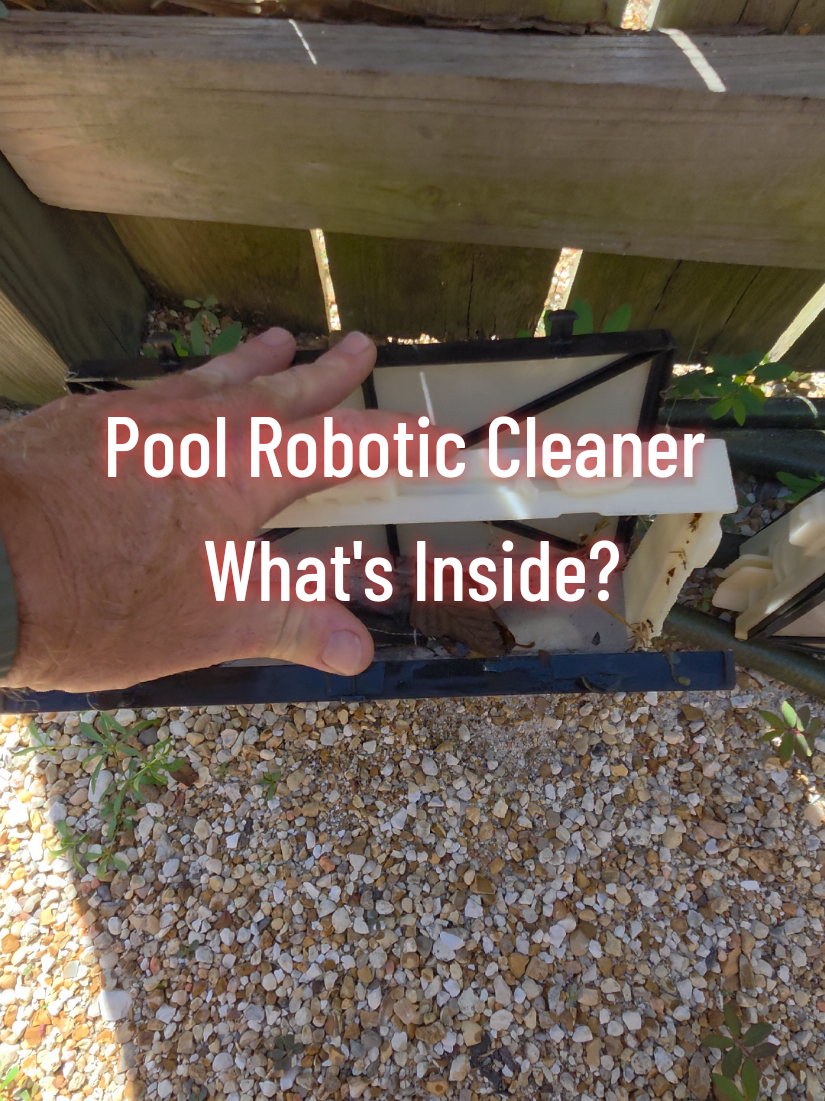 @Rex | BR Pool Pro
