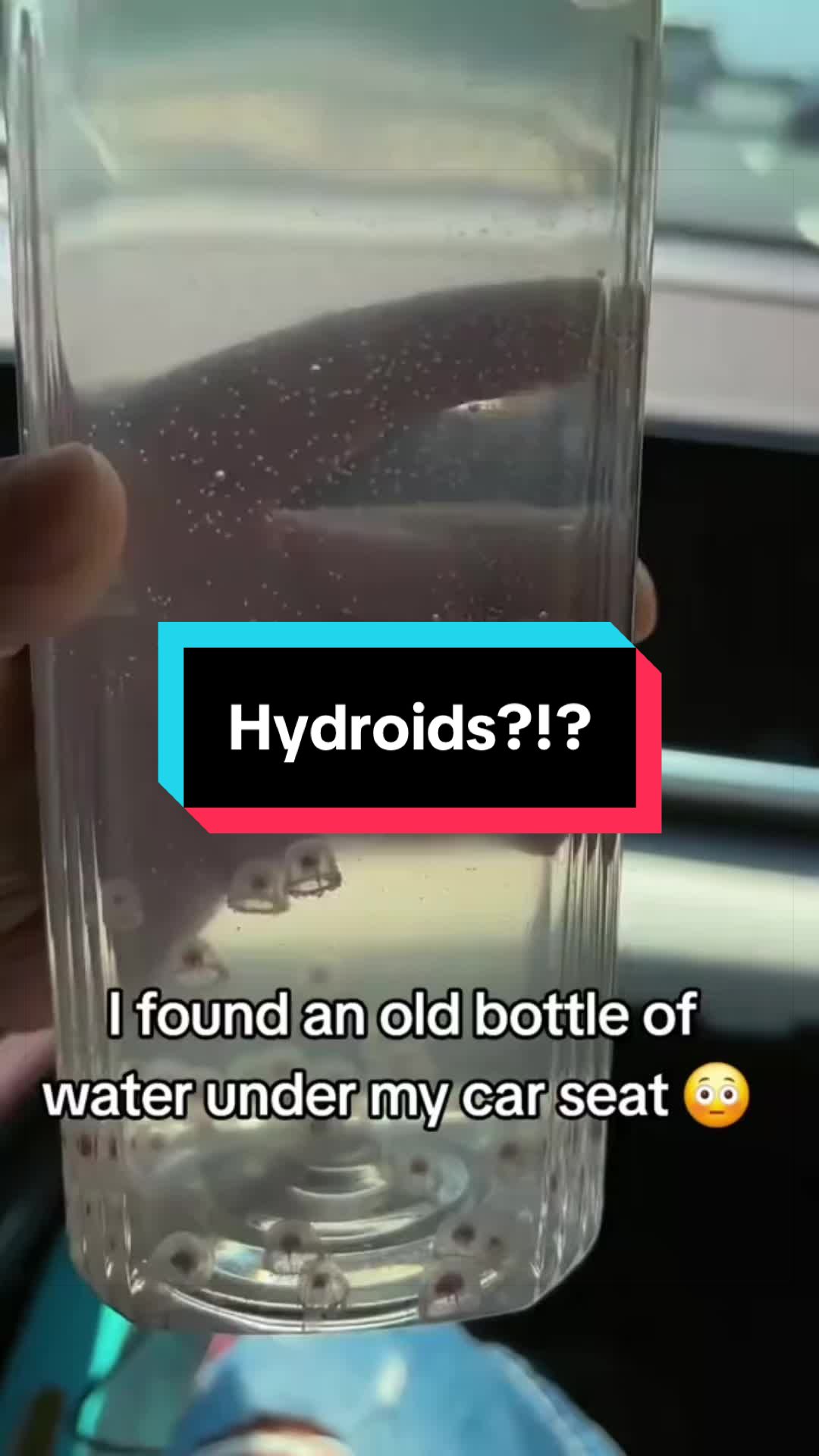 @What Might Grow