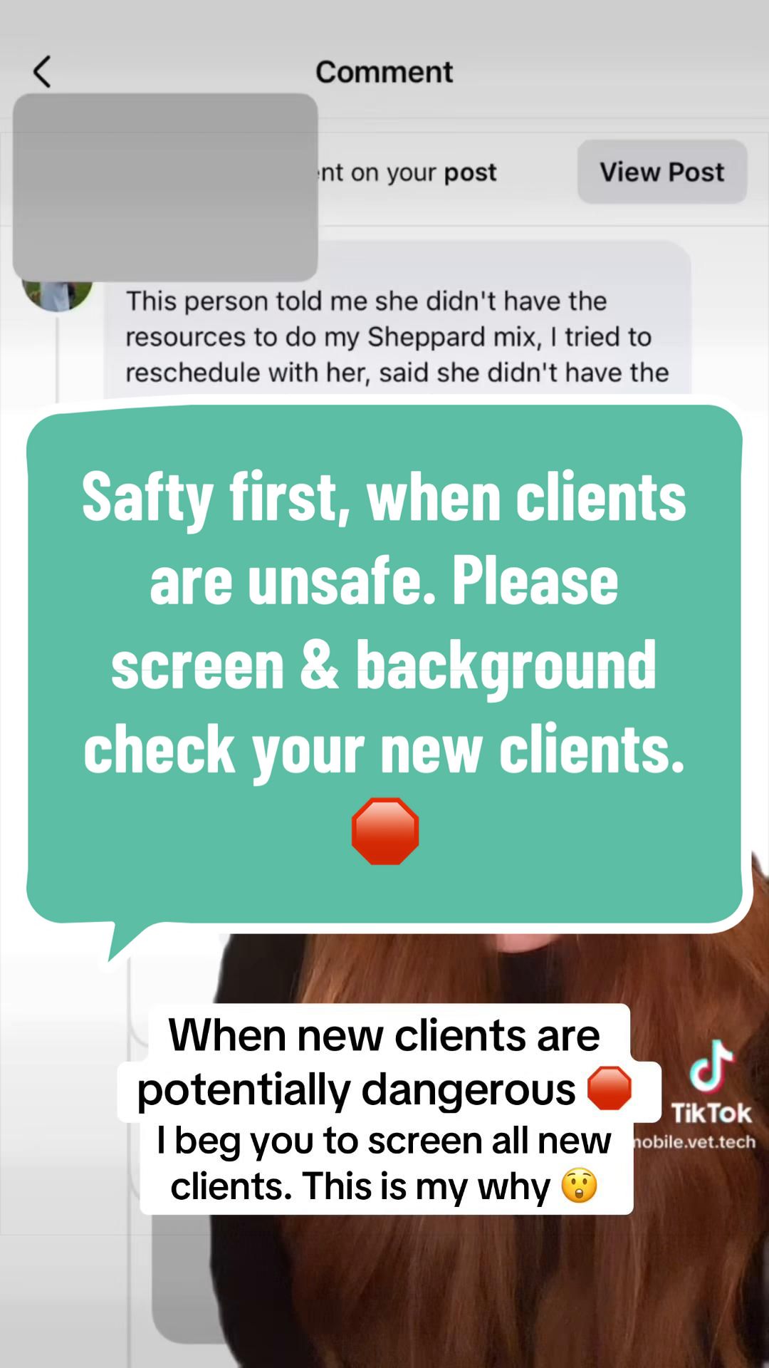 @The.Mobile.Vet.Tech