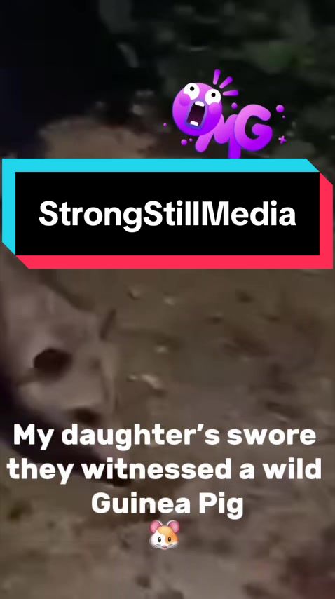 @StrongStillMedia