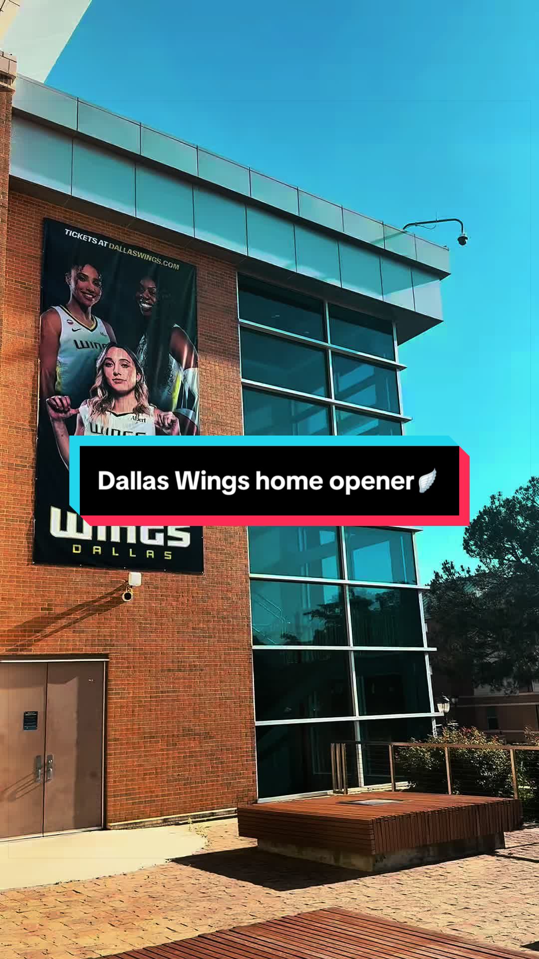 @taylor in texas