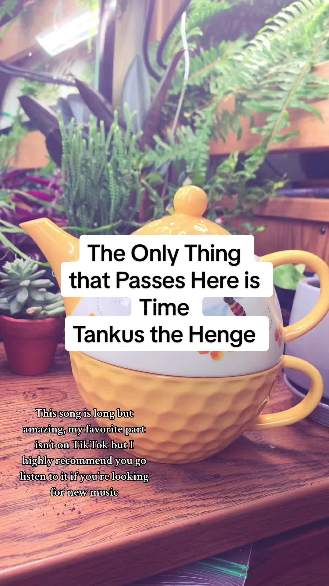 @Leo