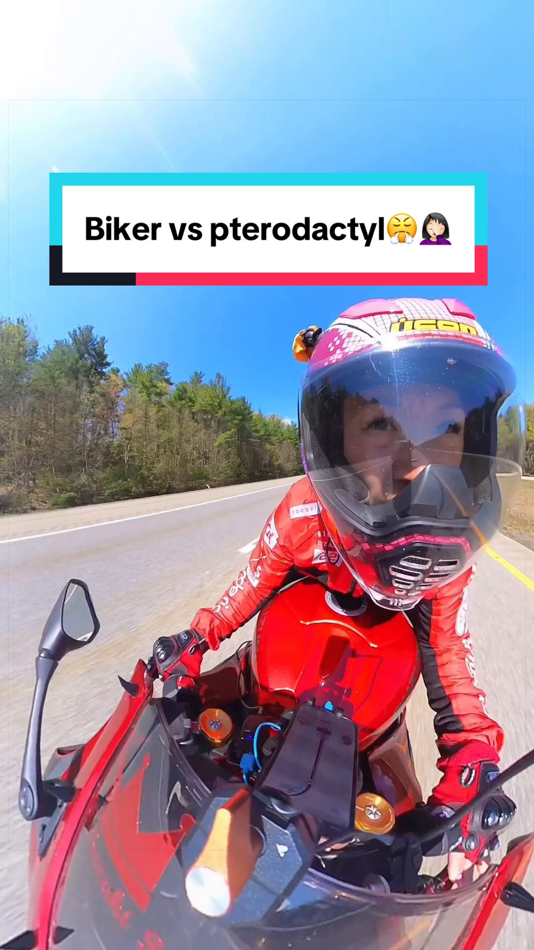 @Suzuki Sue