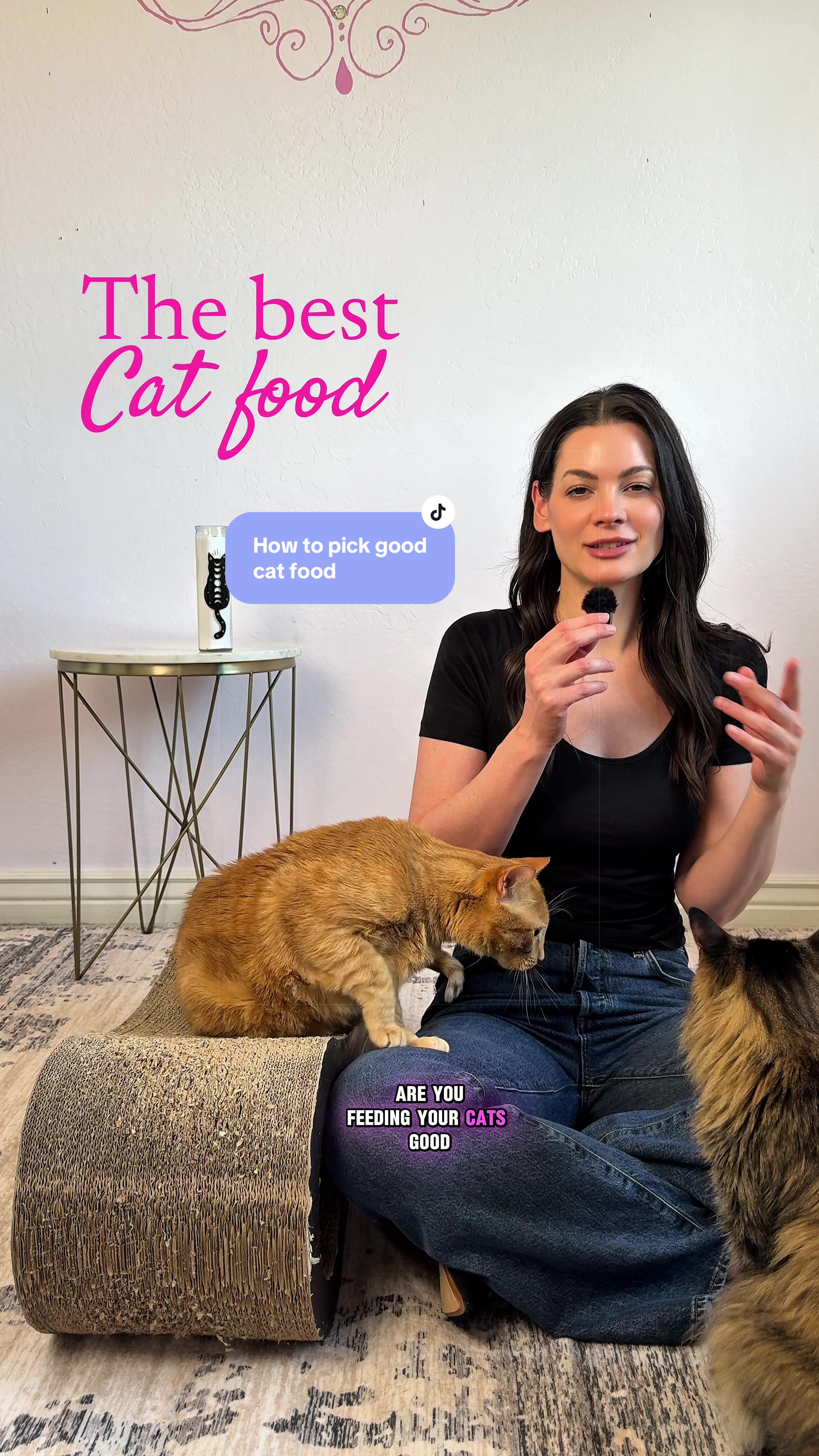 @Feminist Kitty | Cat Nutrition