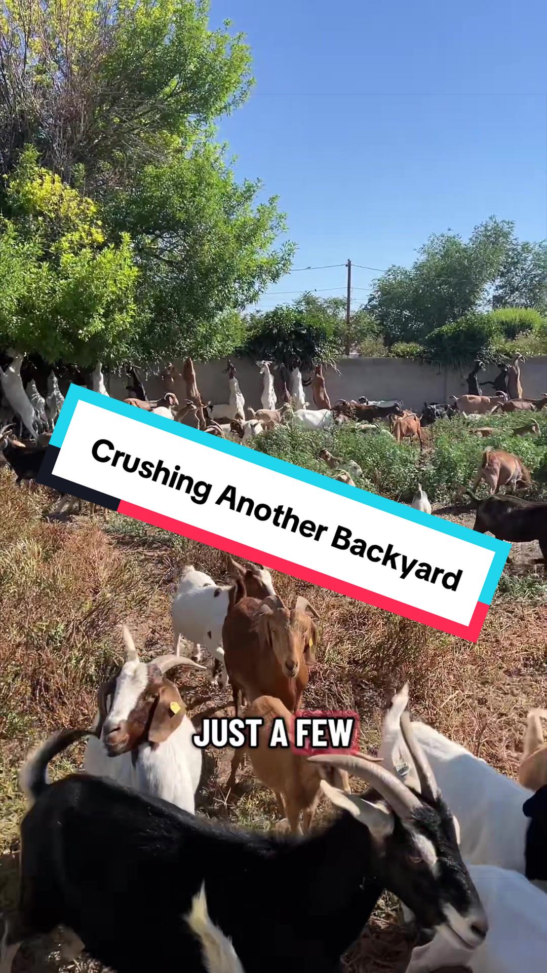 @cowboymax