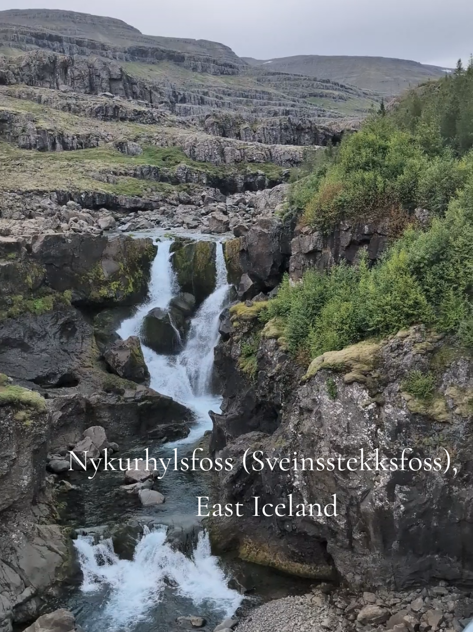 @ReykjaKana