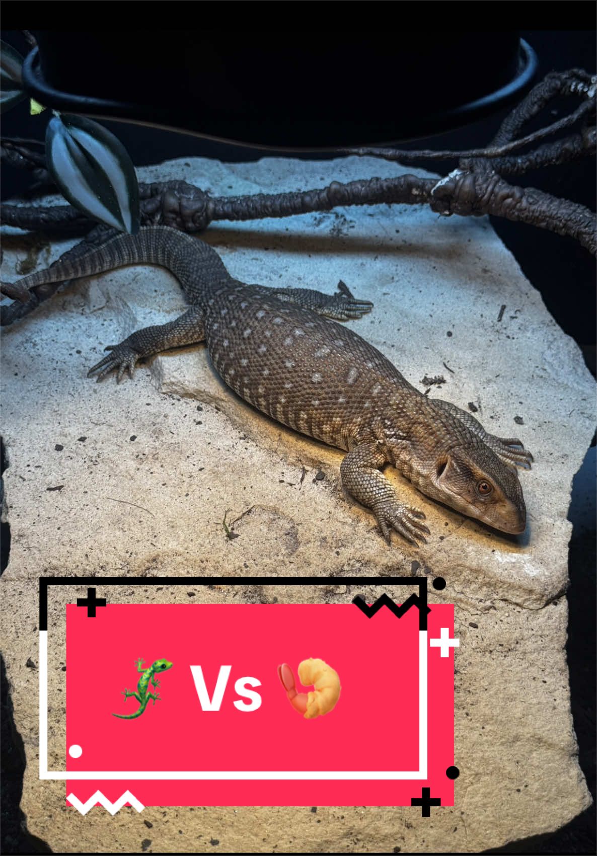 @Slaught3r23