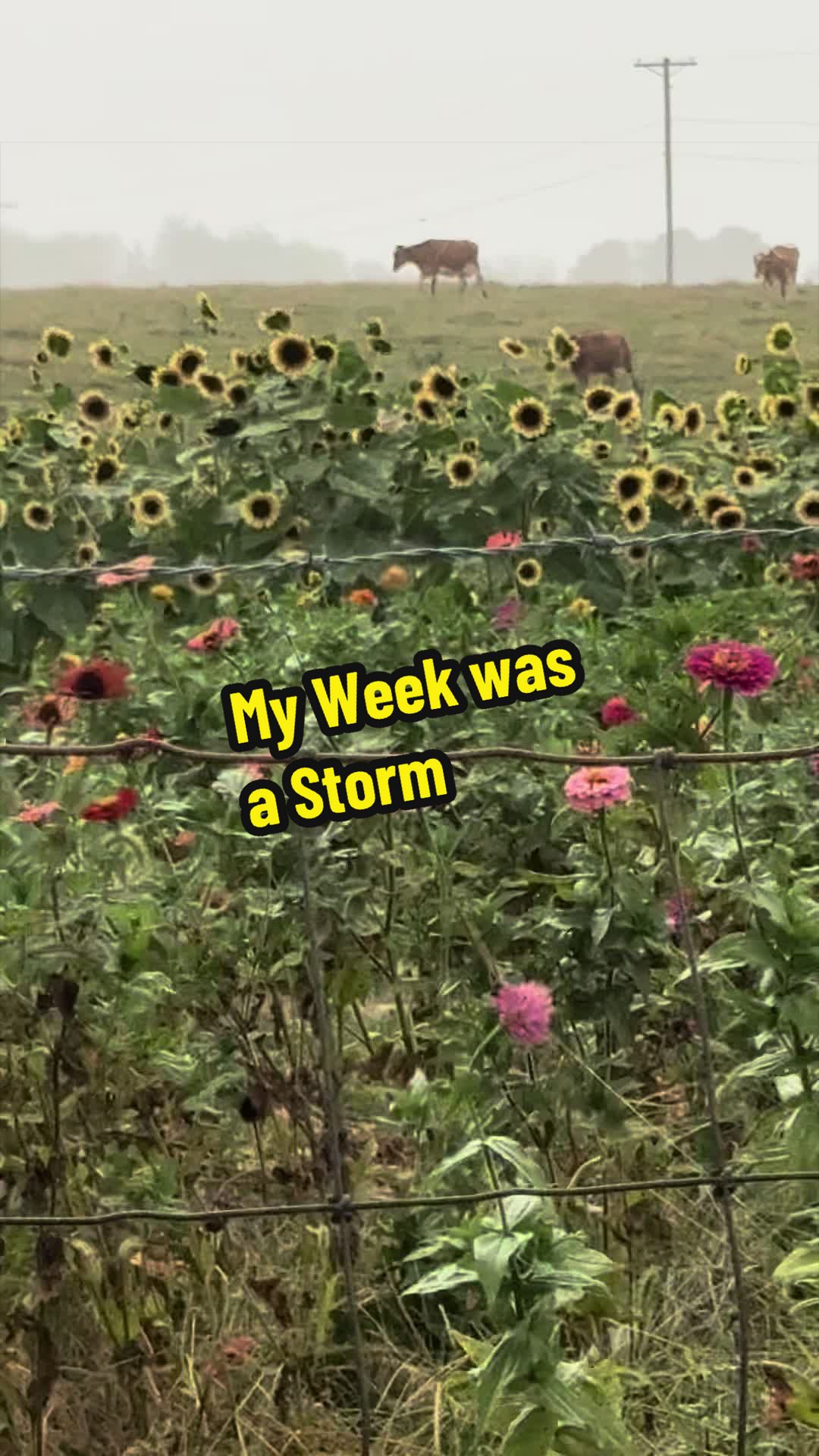 @MISSY & Her Farmer