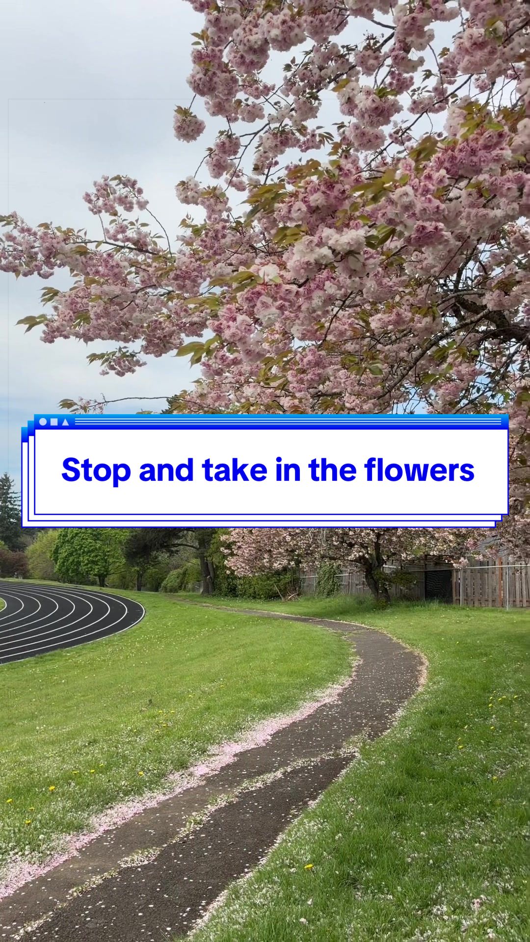 @Divinity Lane