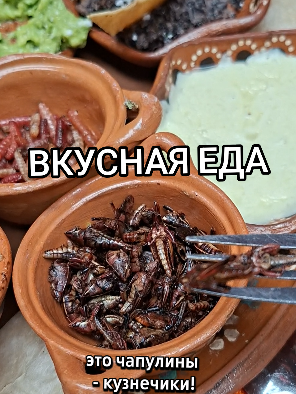 @Софа с байками 📜