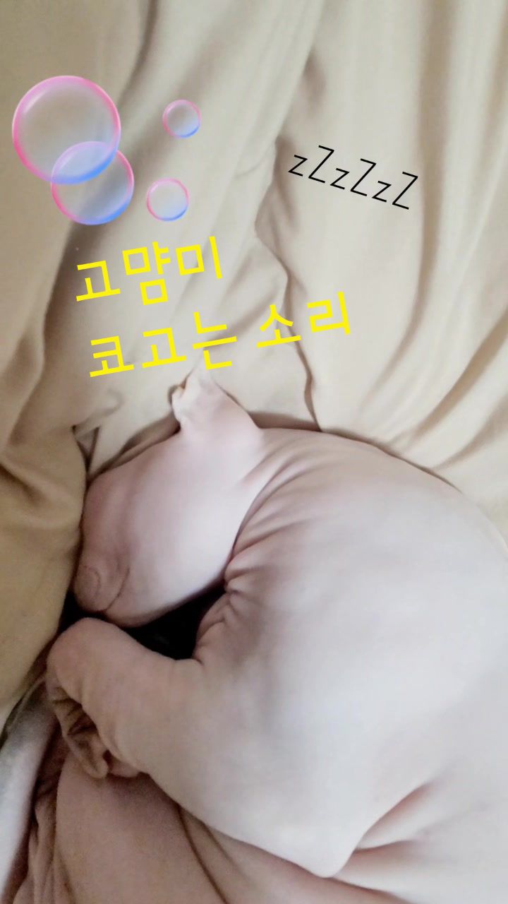 @짠주몬