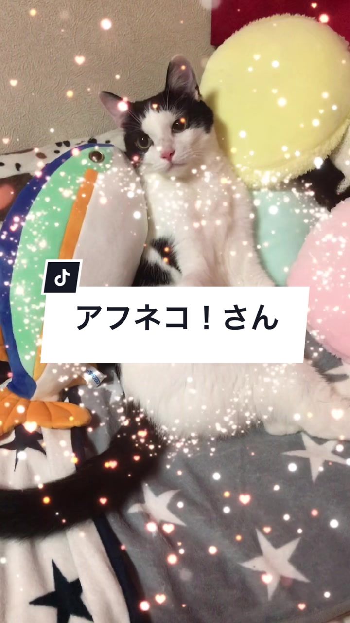 @陸丸 Rikumaru