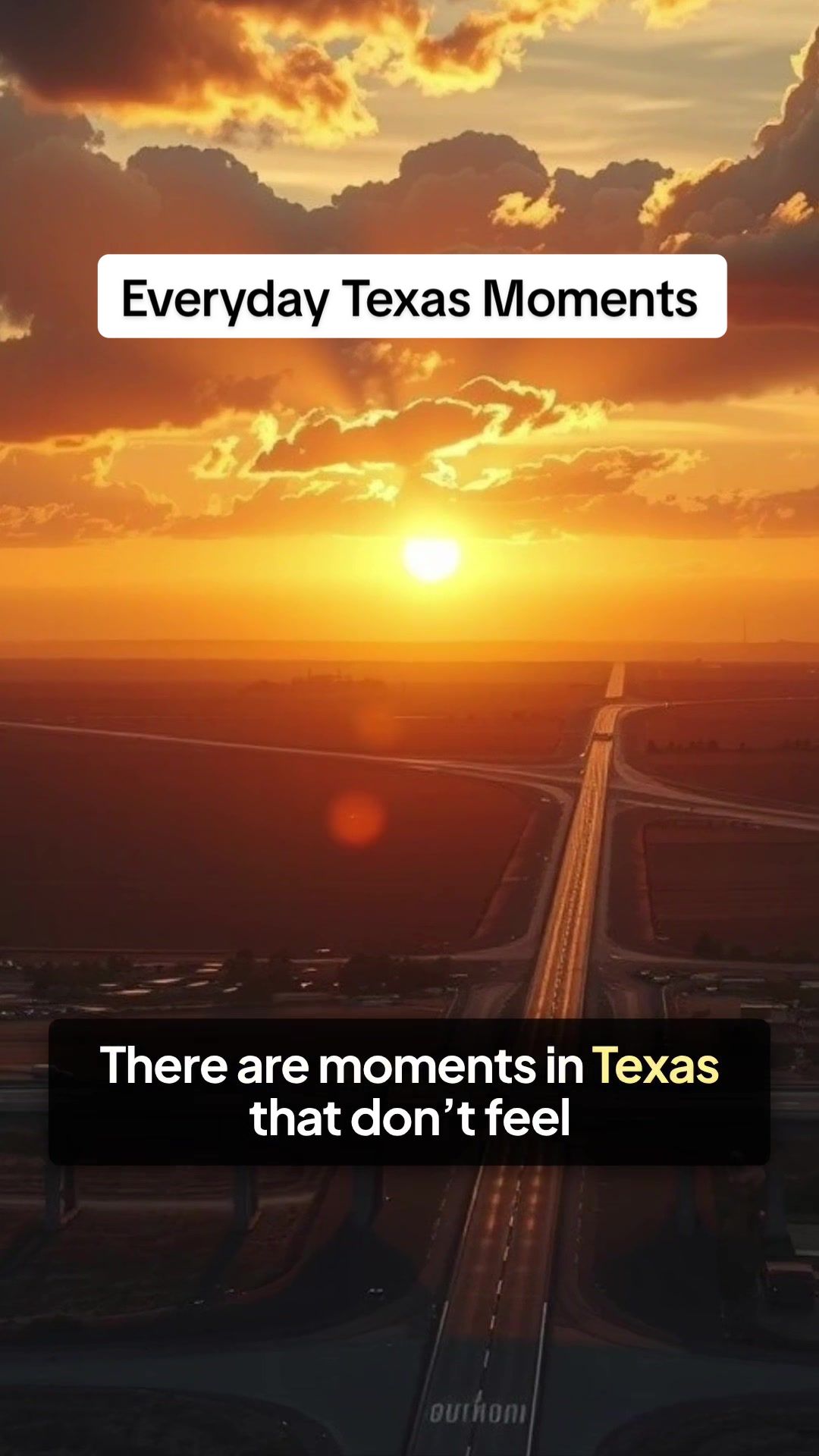 @Texas Untamed