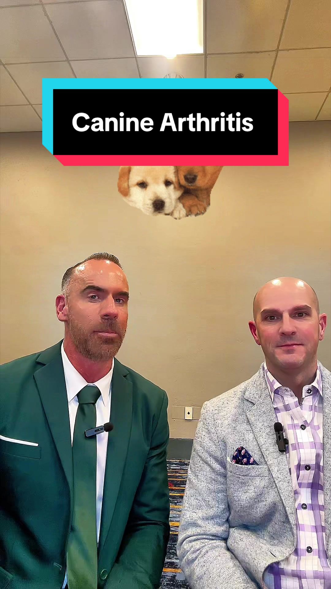 @dr.adam_christman_Veterinarian