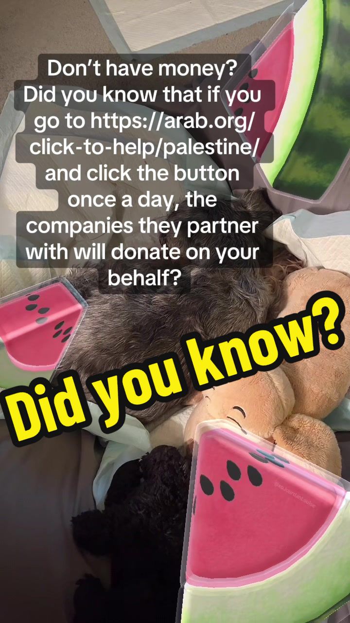 @PerpetualNerd