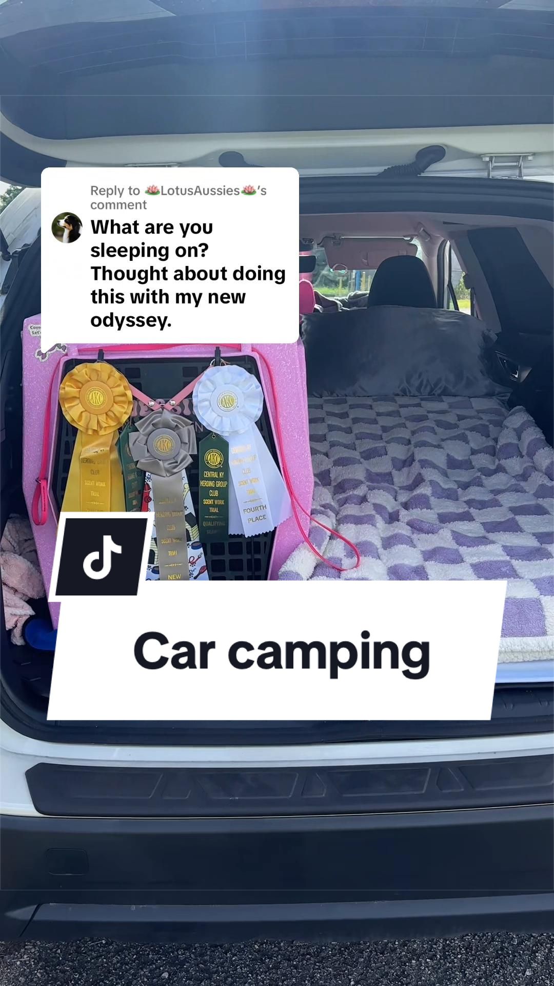 @Maddie, Jovie & Nessie🤍🤎🐩