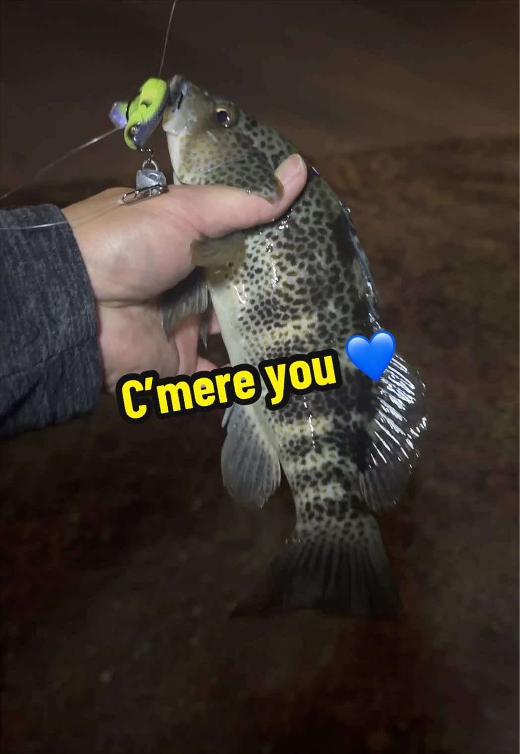 @BP FISHING