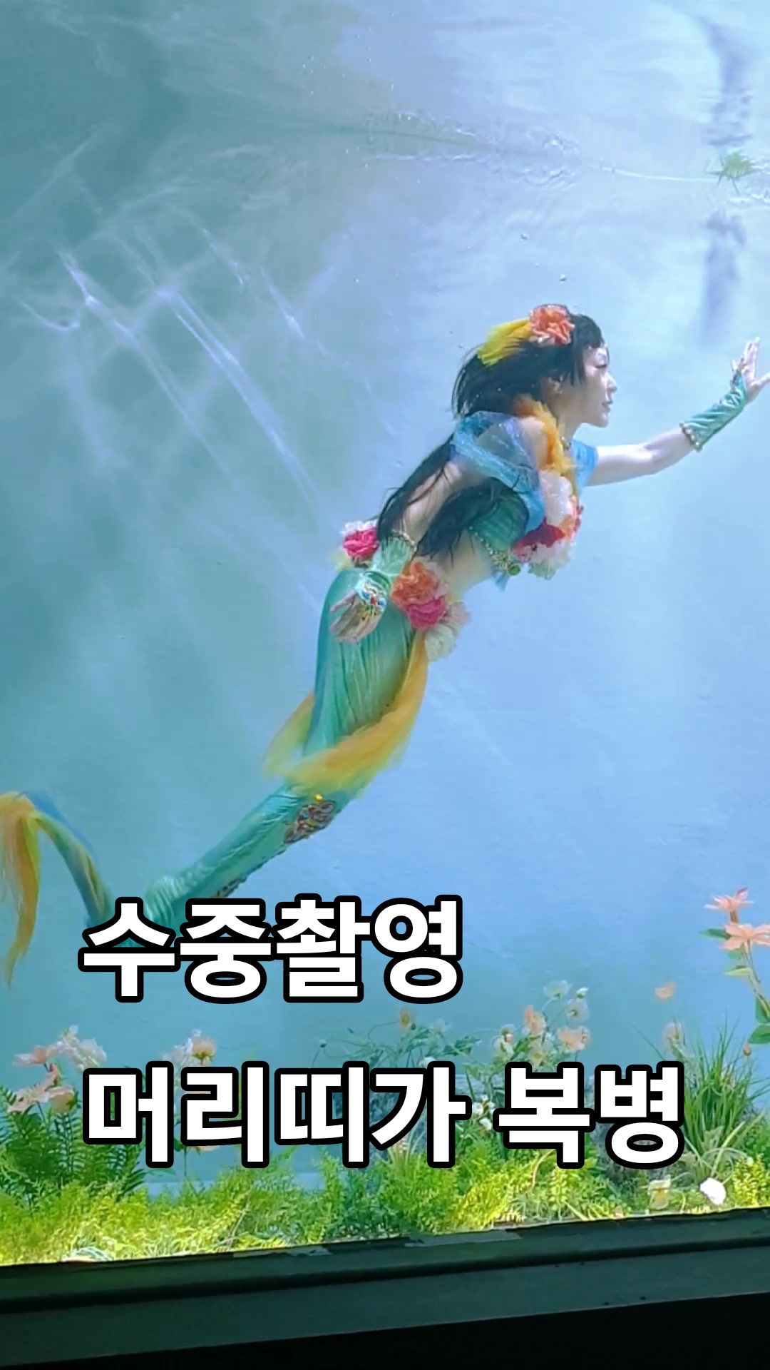 @유쏭 Ussong