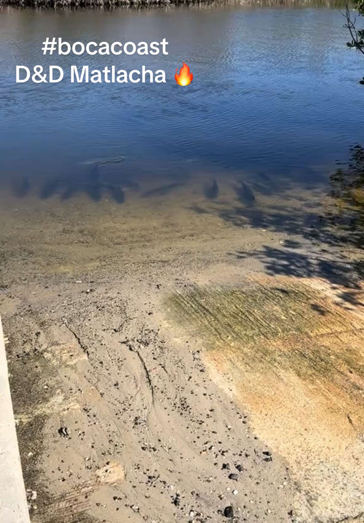 @BocaCoast (D&D Matlacha Bait)