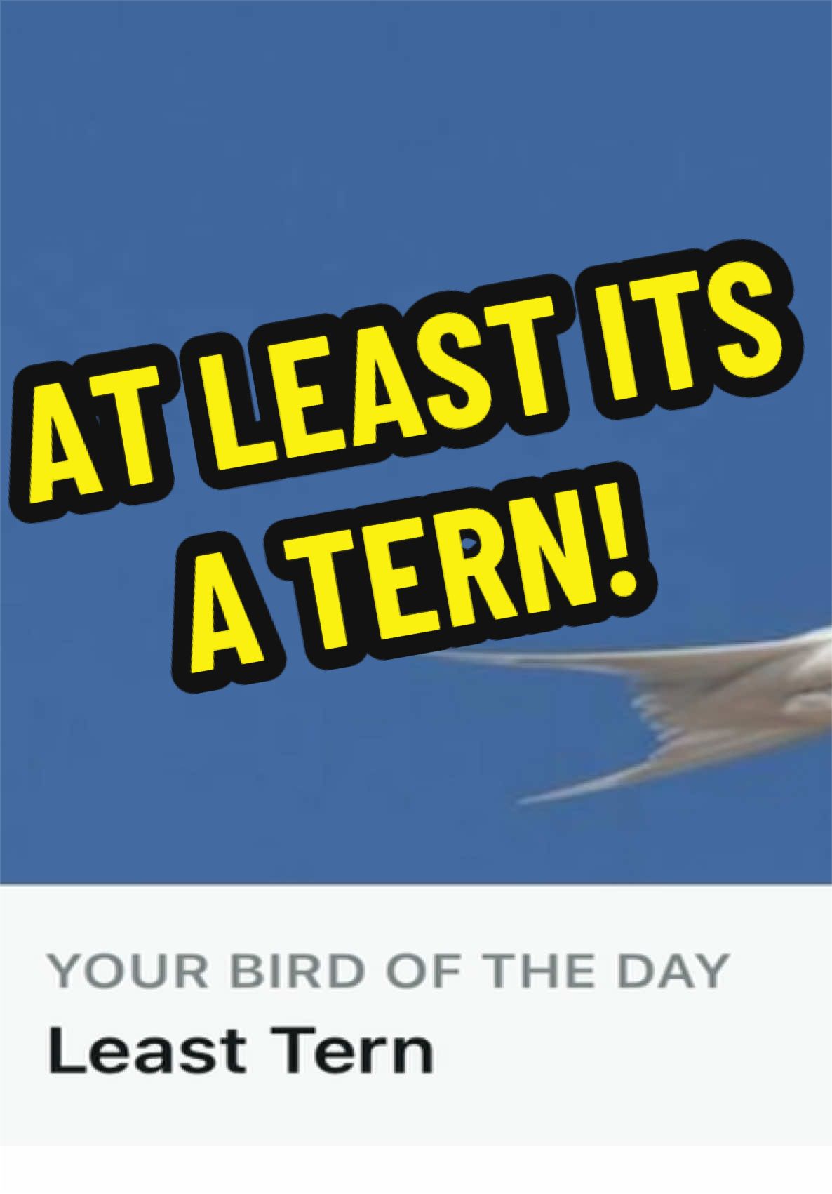 @Beaky