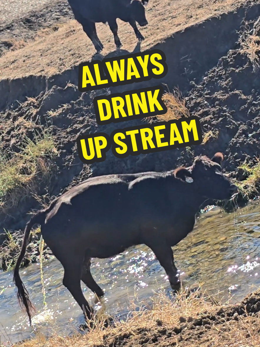 @1HANDNFARMING 🦾🌾🐂🚜
