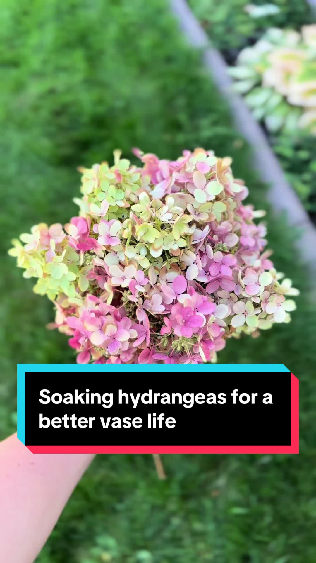 @Liv Floral