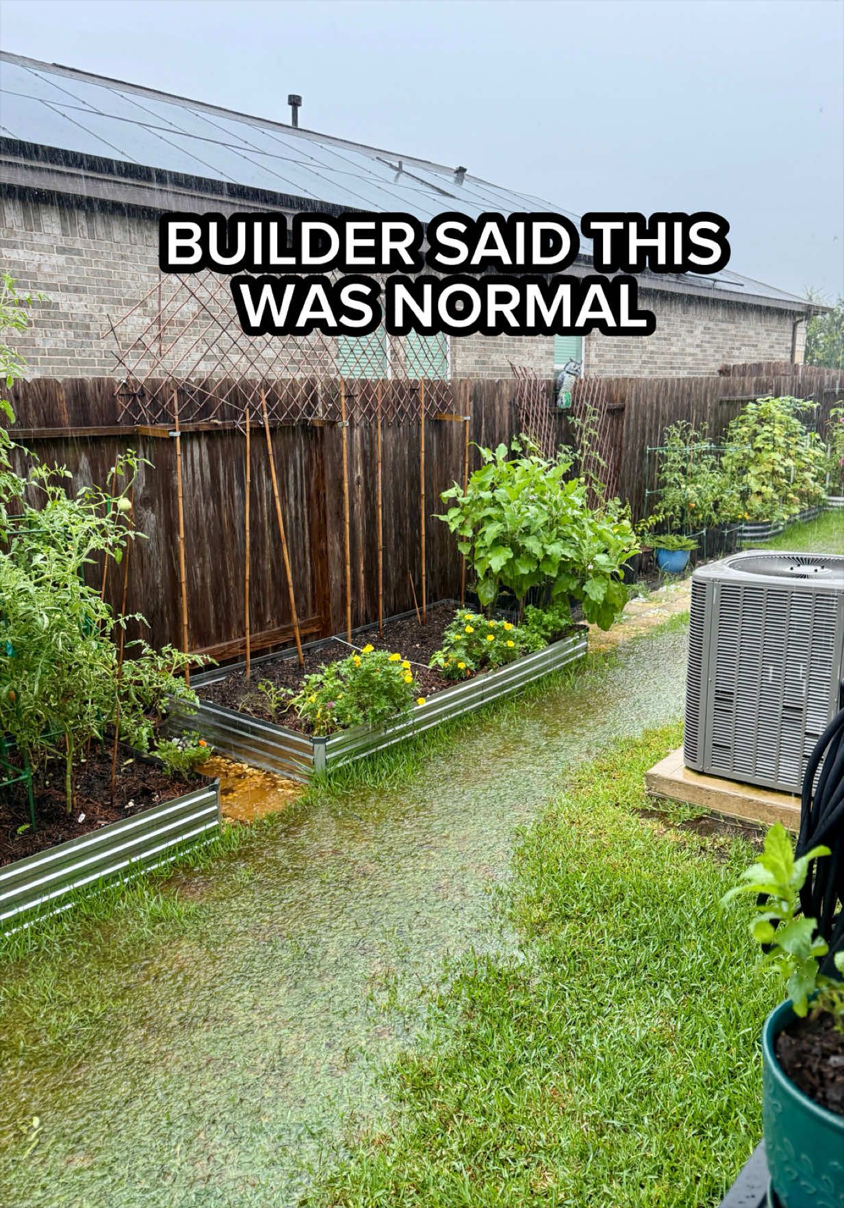 @Sara&rsquo;s Bites 🌱